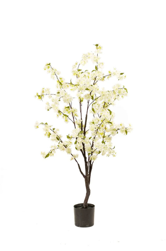 Bloesem Boom Crème 135cm