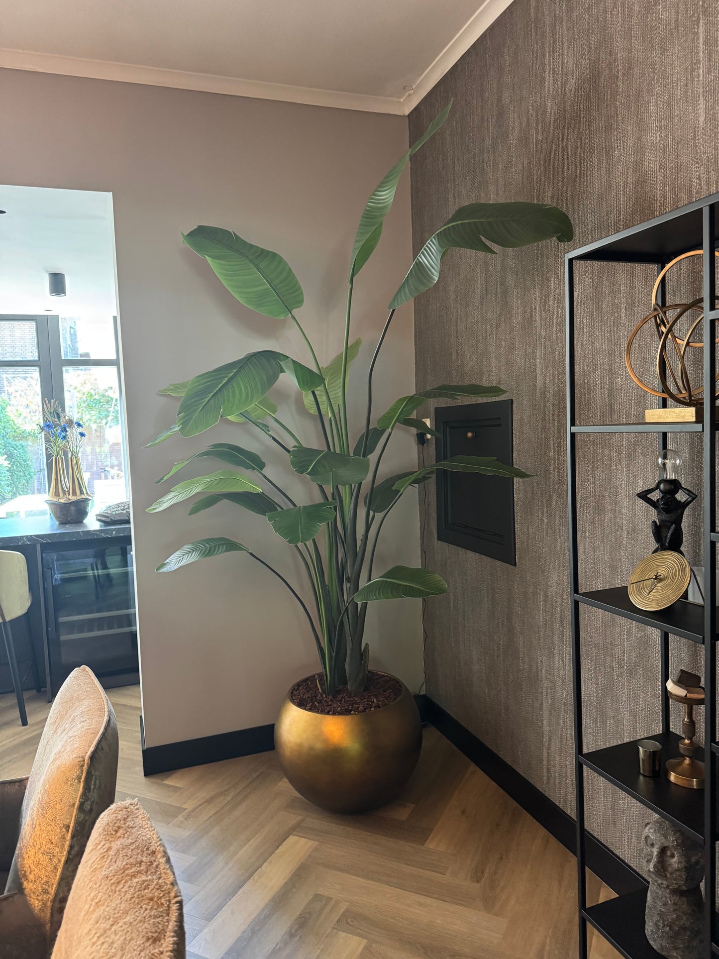 Plant Beryl