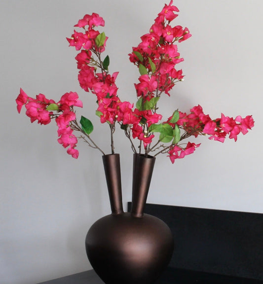 Bougainvillea Tak Fuchsia 105cm